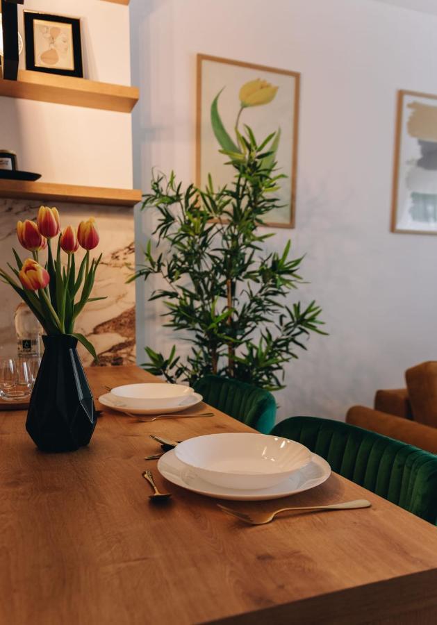 Tulip Apartment Oradea Dış mekan fotoğraf